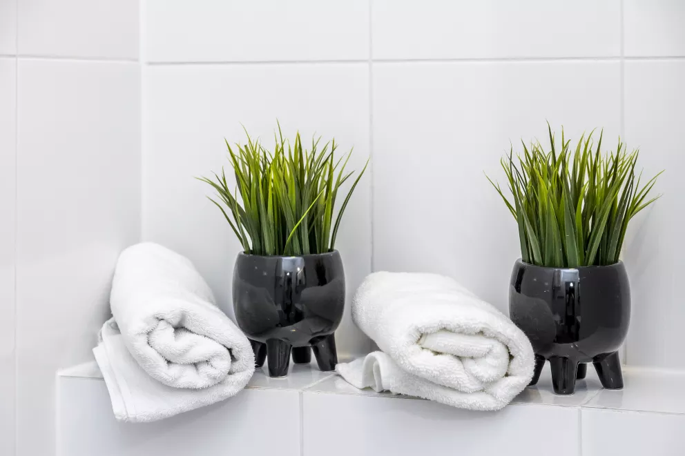 Apartament na Krupówkach